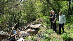 На девять млн рублей нарушили белгородцы природоохранное законодательство в 2025 году