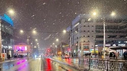 МЧС предупредило белгородцев о сильном ветре и мокром снеге в пятницу и субботу 