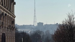 Тёплая весенняя погода ожидает белгородцев в пятницу 