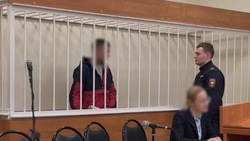 Новые подробности о белгородской банде подростков рассказал руководитель регионального СК