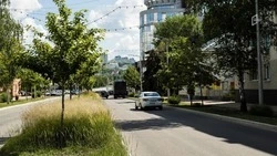 Стали известны планы мэрии по модернизации улицы Чумичова в Белгороде