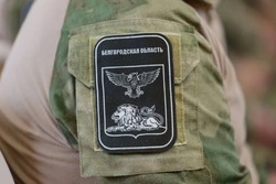 Гладков объяснил причину задержки зарплаты бойцам белгородского «Орлана»