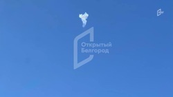 Средства ПВО сбили 12 беспилотников ВСУ над Белгородской областью ночью 
