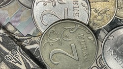 Белгородская область лидирует в Черноземье по количеству дел о банкротстве участников СВО