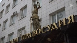 Бездомная собака укусила ребёнка в Валуйках: суд обязал администрацию выплатить мальчику компенсацию