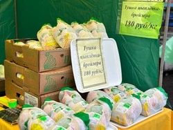 Белгородские производители курятины вошли в топ-5 крупнейших производств РФ
