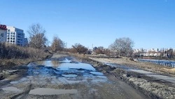 «Лужа нечистот грозит эпидемией»: Белгородцы пожаловались на разлив сточных вод на Донецкой