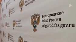 Аукционы по продаже двух участков в Грайворонском округе отменены после вмешательства ФАС