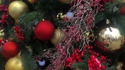 Новогоднее оформление Белгородской детской областной больницы обошлось в 7,5 млн рублей