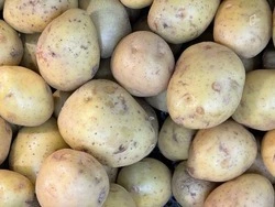 Купить самую дешёвую картошку в регионе можно в 30 минутах езды от Белгорода