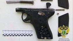 Белгородец проведёт три года в колонии за незаконный ремонт и хранение оружия