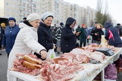 Более 1,8 млн тонн мяса произвела Белгородская область в 2024 году