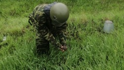 За минувшую неделю белгородцы обнаружили 10 боеприпасов времён ВОВ