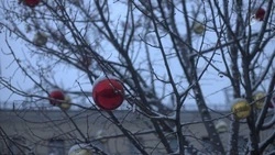 Рабочая неделя в Белгородской области завершится снегом и дождём