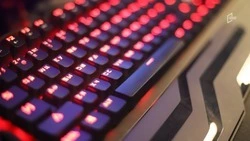 Мошенники меняют тактику: что происходит с киберпреступностью в Белгородской области