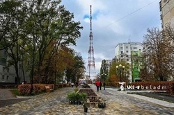 500 саженцев роз украсят бульвар Первого Салюта в Белгороде 