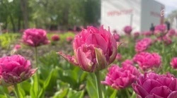 Дожди, грозы и шквалистый ветер откроют рабочую неделю в Белгородской области 