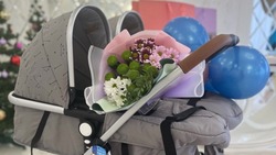 Белгородское Минсоцзащиты закупит 200 детских колясок почти на пять млн рублей