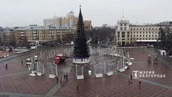 Более 340 декоративных сосулек и 80 сверкающих бус украсят главную ёлку Белгорода