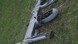 БПЛА самолётного типа сбили над Белгородской областью