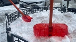 Белгородский коммунальщик получил благодарность президента Владимира Путина