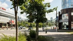 Улица Чумичова в Белгороде станет новым маршрутом для общественного транспорта после капремонта
