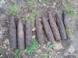 Прогулка с собакой обернулась для белгородца находкой 14 мин времён ВОВ 