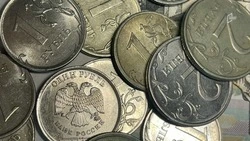 Жители Белгородской области обменяли почти 3,9 млн рублей мелочью на «Монетной неделе»