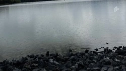 «Ситуация стабильная»: Вячеслав Гладков о состоянии Белгородского водохранилища