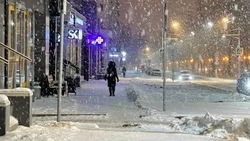 Очистка улиц Белгорода от снега обойдётся в более 3,5 млн рублей 