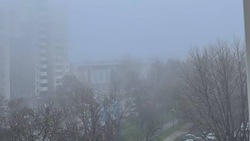 Белгородские синоптики предупредили о тумане и гололедице во вторник 