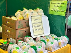 Белгородские производители курятины вошли в топ-5 крупнейших производств РФ