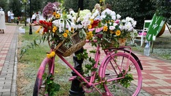 В Белгородской области прошел фестиваль «Алексеевка в цвету»