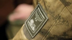 Пятый модуль обучения начался для белгородских ветеранов СВО в проекте «Сталь»