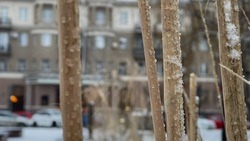 Мокрый снег и дождь ожидаются в Белгородской области в среду