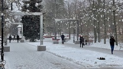 На уборку снега в Белгороде вышли более 600 коммунальщиков и 60 единиц техники