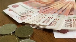 Белгородец заплатит штраф в 15 тысяч рублей за сбитого кабана