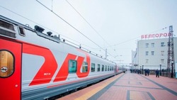 Белгородцы пожаловались на дороговизну ж/д билетов