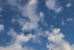 Понедельник для белгородцев выдастся тёплым и облачным