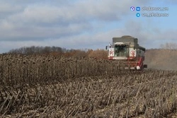 Белгородская область получила 877 млн рублей из федерального центра для поддержки аграриев