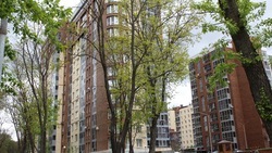 Более 150 тысяч квадратных метров жилья введено в Белгородской области в первом квартале 2025 года