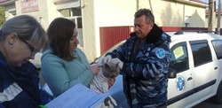В Белгороде с 19 мая по 20 июня пройдёт бесплатная вакцинация домашних животных от бешенства
