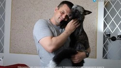 Староосколец поделился советами по содержанию лисиц в доме