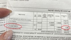 Белгородцев предупредили о новой строчке в платёжке за ЖКУ