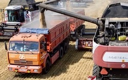 Белгородская область вошла в Топ-10 регионов РФ с наибольшим объёмом экспорта продукции АПК 