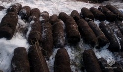 297 боеприпасов времён ВОВ обнаружены в лесу Старооскольского округа