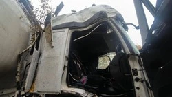 За сутки в Белгородской области от ударов ВСУ погиб мирный житель, ранены двое