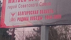 Алексеевский округ украсили праздничными баннерами с опечаткой