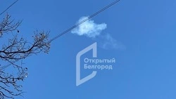 Средства ПВО сбили 22 украинских БПЛА над Белгородской областью ночью