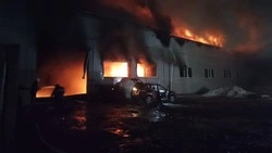 Беспилотники ВСУ атаковали Новый Оскол и Корочу